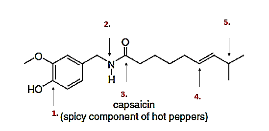 5.
3.
4.
саpsaicin
1 (spicy component of hot peppers)
2.
