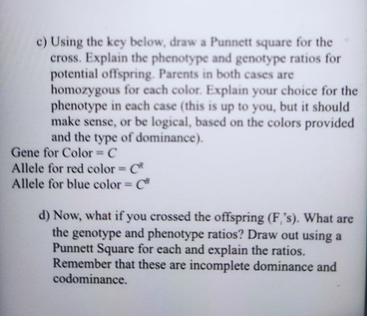 c) Using the key below, draw a Punnett square for the
cross. Explain the phenotype and genotype ratios for
potential offspring. Parents in both cases are
homozygous for each color. Explain your choice for the
phenotype in each case (this is up to you, but it should
make sense, or be logical, based on the colors provided
and the type of dominance).
Gene for Color C
Allele for red color C*
Allele for blue color C
d) Now, what if you crossed the offspring (F,'s). What are
the genotype and phenotype ratios? Draw out using a
Punnett Square for each and explain the ratios.
Remember that these are incomplete dominance and
codominance.
