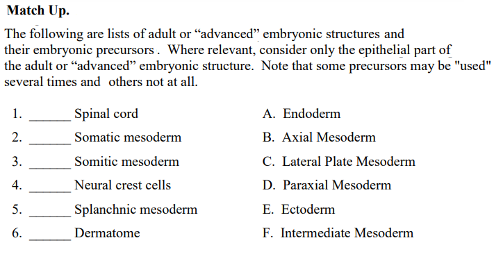 Match Up.
The following are lists of adult or "advanced" embryonic structures and
their embryonic precursors. Where relevant, consider only the epithelial part of
the adult or "advanced" embryonic structure. Note that some precursors may be "used"
several times and others not at all.
1.
2.
3.
4.
5.
6.
Spinal cord
Somatic mesoderm
Somitic mesoderm
Neural crest cells
Splanchnic mesoderm
Dermatome
A. Endoderm
B. Axial Mesoderm
C. Lateral Plate Mesoderm
D. Paraxial Mesoderm
E. Ectoderm
F. Intermediate Mesoderm