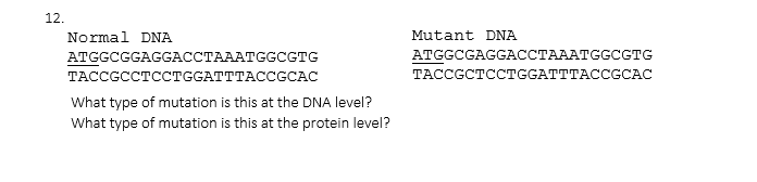 12.
Normal DNA
Mutant DNA
ATGGCGGAGGACCTAAATGGCGTG
ATGGCGAGGACCTAAATGGCGTG
ТАСССССТССТGGATTTACCGCAС
TACCGCTCCTGGATTTACCGCAC
What type of mutation is this at the DNA level?
What type of mutation is this at the protein level?
