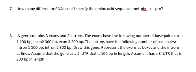 7. How many different mRNAS could specify the amino acid sequence met-phe-ser-pro?
8. A gene contains 3 exons and 2 introns. The exons have the following number of base pairs: exon
1 100 bp, exon2 300 bp, exon 3 200 bp. The introns have the following number of base pairs:
intron 1 500 bp, intron 2 300 bp. Draw this gene. Represent the exons as boxes and the introns
as lines. Assume that the gene as a 5' UTR that is 100 bp in length. Assume it has a 3' UTR that is
200 bp in length.
