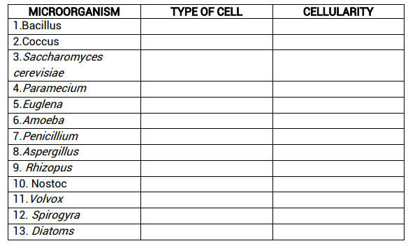 MICROORGANISM
1.Bacillus
TYPE OF CELL
CELLULARITY
2.Coccus
3. Saccharomyces
cerevisiae
4.Paramecium
5. Euglena
6. Amoeba
7.Penicillium
8.Aspergillus
9. Rhizopus
10. Nostoc
11. Volvox
12. Spirogyra
13. Diatoms
