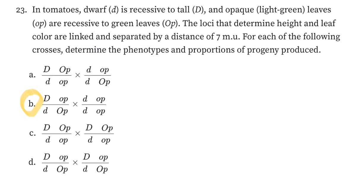 23. In tomatoes, dwarf (d) is recessive to tall (D), and opaque (light-green) leaves
(op) are recessive to green leaves (Op). The loci that determine height and leaf
color are linked and separated by a distance of 7 m.u. For each of the following
crosses, determine the phenotypes and proportions of progeny produced.
D Op
d op
а.
d
d Op
do
D
b.
d Op
d op
do
d op
Op
D
Op
с.
d
d
op
do
D op
D op
d.
d Op
d Op
