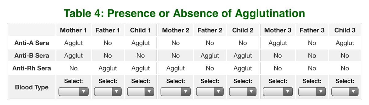 Table 4: Presence or Absence of Agglutination
Mother 1
Father 1
Child 1
Mother 2
Father 2
Child 2
Mother 3
Father 3
Child 3
Anti-A Sera
Agglut
No
Agglut
No
No
No
Agglut
No
Agglut
Anti-B Sera
Agglut
No
No
No
Agglut
Agglut
No
No
No
Anti-Rh Sera
No
Agglut
Agglut
Agglut
No
Agglut
No
No
No
Select:
Select:
Select:
Select:
Select:
Select:
Select:
Select:
Select:
Blood Type

