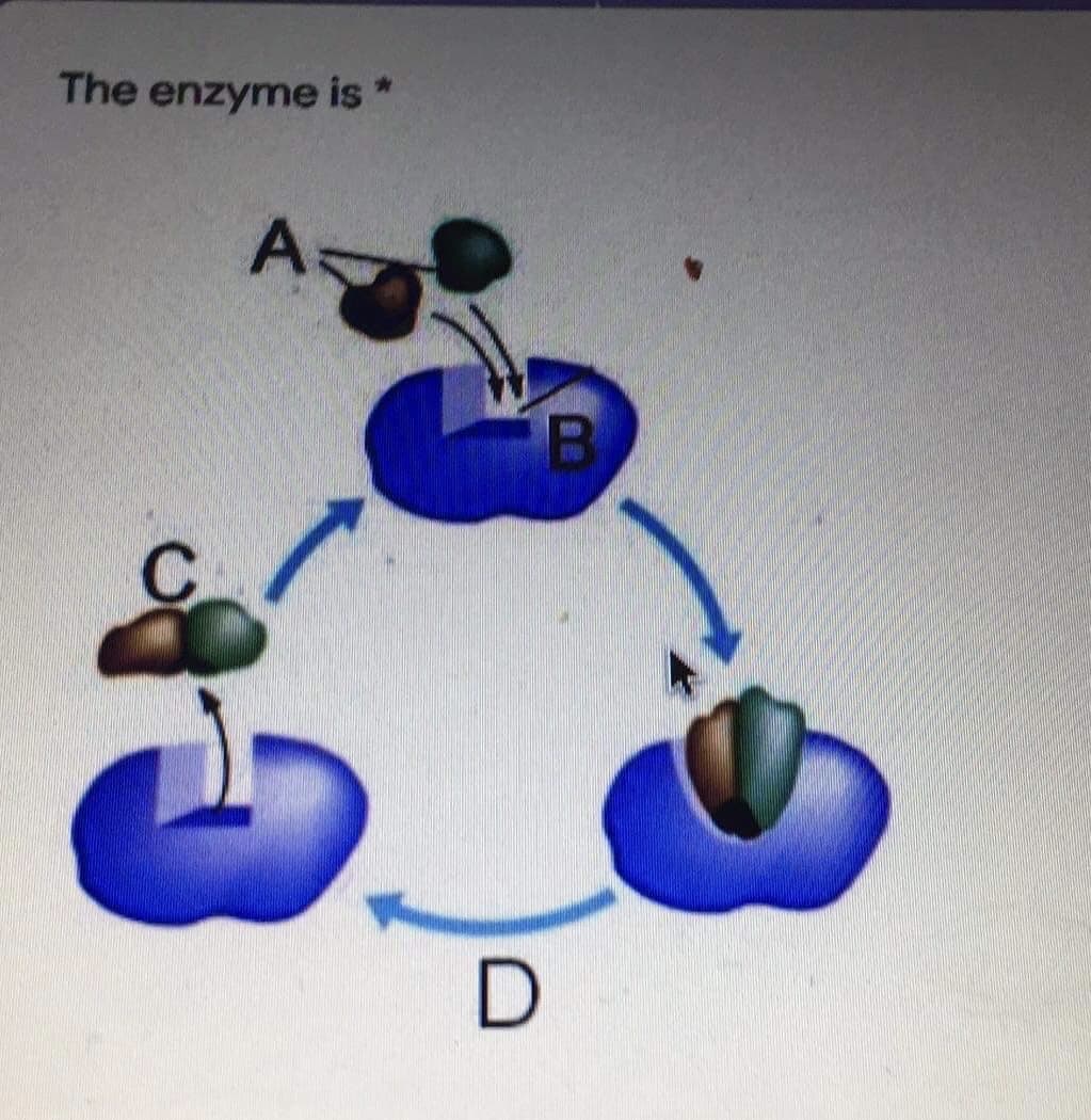 The enzyme is *
