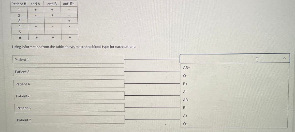 Patient #
anti Rh
1
2
+
3
+
4
5
6
+
+
+
Using information from the table above, match the blood type for each patient:
Patient 1
Patient 3
Patient 4
Patient 6
Patient 5
Patient 2
anti A
+
+
anti B
+
+
AB+
O-
B+
A-
AB-
B-
A+
O+
I