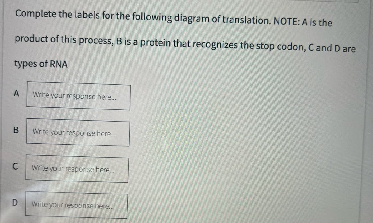 Complete the labels for the following diagram of translation. NOTE: A is the
product of this process, B is a protein that recognizes the stop codon, C and D are
types of RNA
A
B
C
Write your response here...
Write your response here...
Write your response here...
Write your response here...