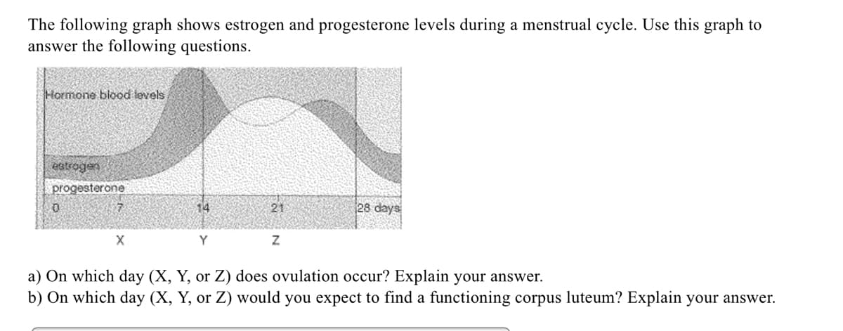 The following graph shows estrogen and progesterone levels during a menstrual cycle. Use this graph to
answer the following questions.
Hormone blood levels
estrogen
progesterone
14
21
28 days
Y
a) On which day (X, Y, or Z) does ovulation occur? Explain your answer.
b) On which day (X, Y, or Z) would you expect to find a functioning corpus luteum? Explain your answer.
