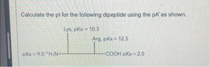 Calculate the pl for the following dipeptide using the pK as shown.
Lys, pka 10.5
Dka 9.0 H.N-
Arg, pka 12.5
-COOH DKa 2.0