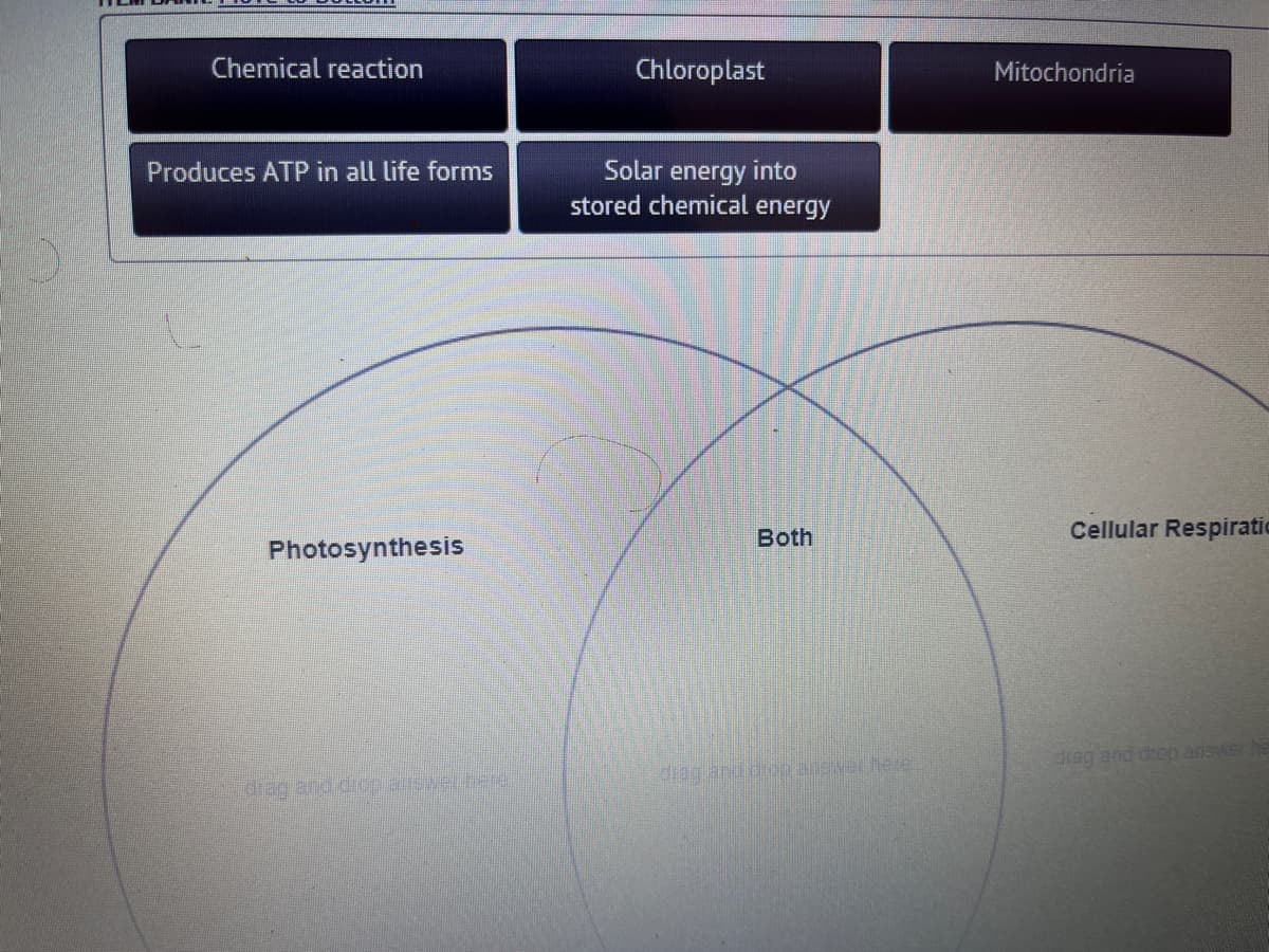 Chemical reaction
Produces ATP in all life forms
Photosynthesis
Chloroplast
Solar energy into
stored chemical energy
Both
drag and drop answer here.
Mitochondria
Cellular Respiratic
drag and drop answer he