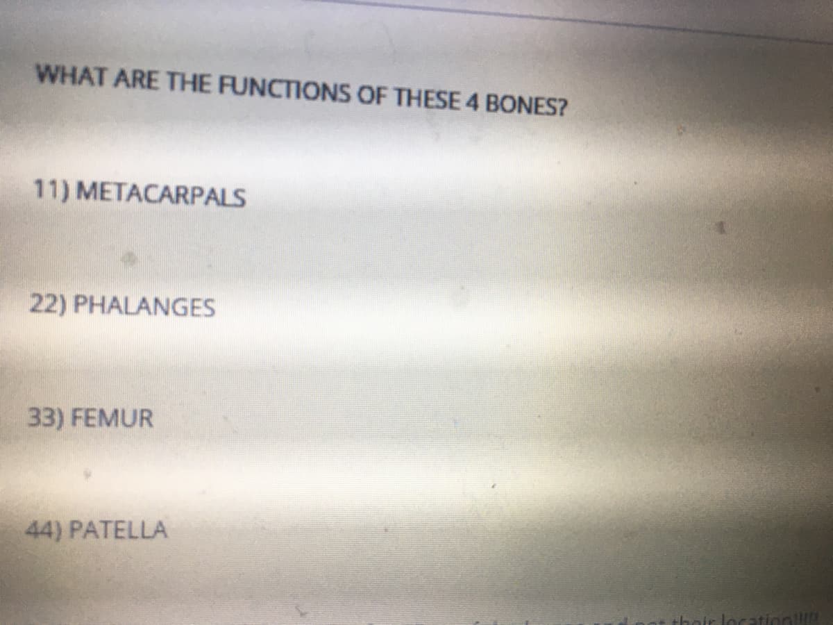 WHAT ARE THE FUNCTIONS OF THESE 4 BONES?
11) METACARPALS
22) PHALANGES
33) FEMUR
44) PATELLA
Iocation!!
