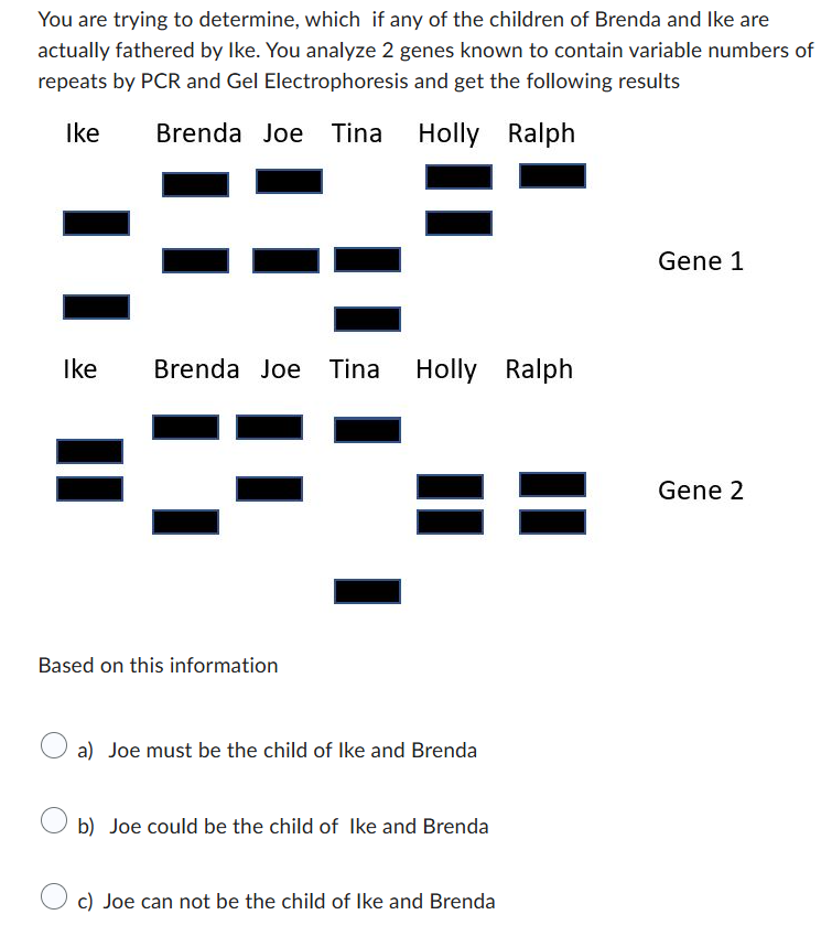 You are trying to determine, which if any of the children of Brenda and Ike are
actually fathered by Ike. You analyze 2 genes known to contain variable numbers of
repeats by PCR and Gel Electrophoresis and get the following results
Ike
Brenda Joe Tina
Holly Ralph
Ike
Brenda Joe Tina
Holly Ralph
Based on this information
a) Joe must be the child of Ike and Brenda
b) Joe could be the child of Ike and Brenda
c) Joe can not be the child of Ike and Brenda
Gene 1
Gene 2