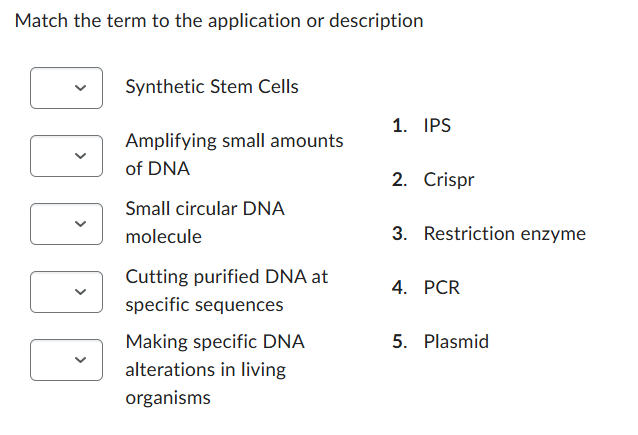 Match the term to the application or description
Synthetic Stem Cells
1. IPS
Amplifying small amounts
of DNA
2. Crispr
Small circular DNA
molecule
Cutting purified DNA at
specific sequences
Making specific DNA
alterations in living
organisms
3. Restriction enzyme
4. PCR
5. Plasmid