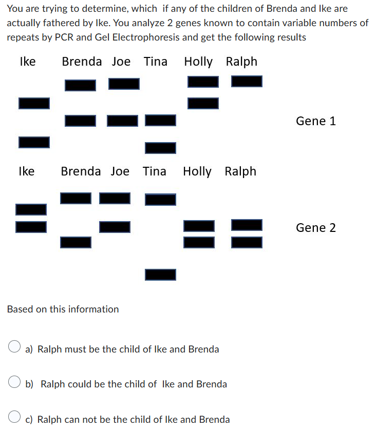 You are trying to determine, which if any of the children of Brenda and Ike are
actually fathered by Ike. You analyze 2 genes known to contain variable numbers of
repeats by PCR and Gel Electrophoresis and get the following results
Ike
Brenda Joe Tina
Holly Ralph
Ike
Brenda Joe Tina
Holly Ralph
Based on this information
a) Ralph must be the child of Ike and Brenda
b) Ralph could be the child of Ike and Brenda
c) Ralph can not be the child of Ike and Brenda
Gene 1
Gene 2