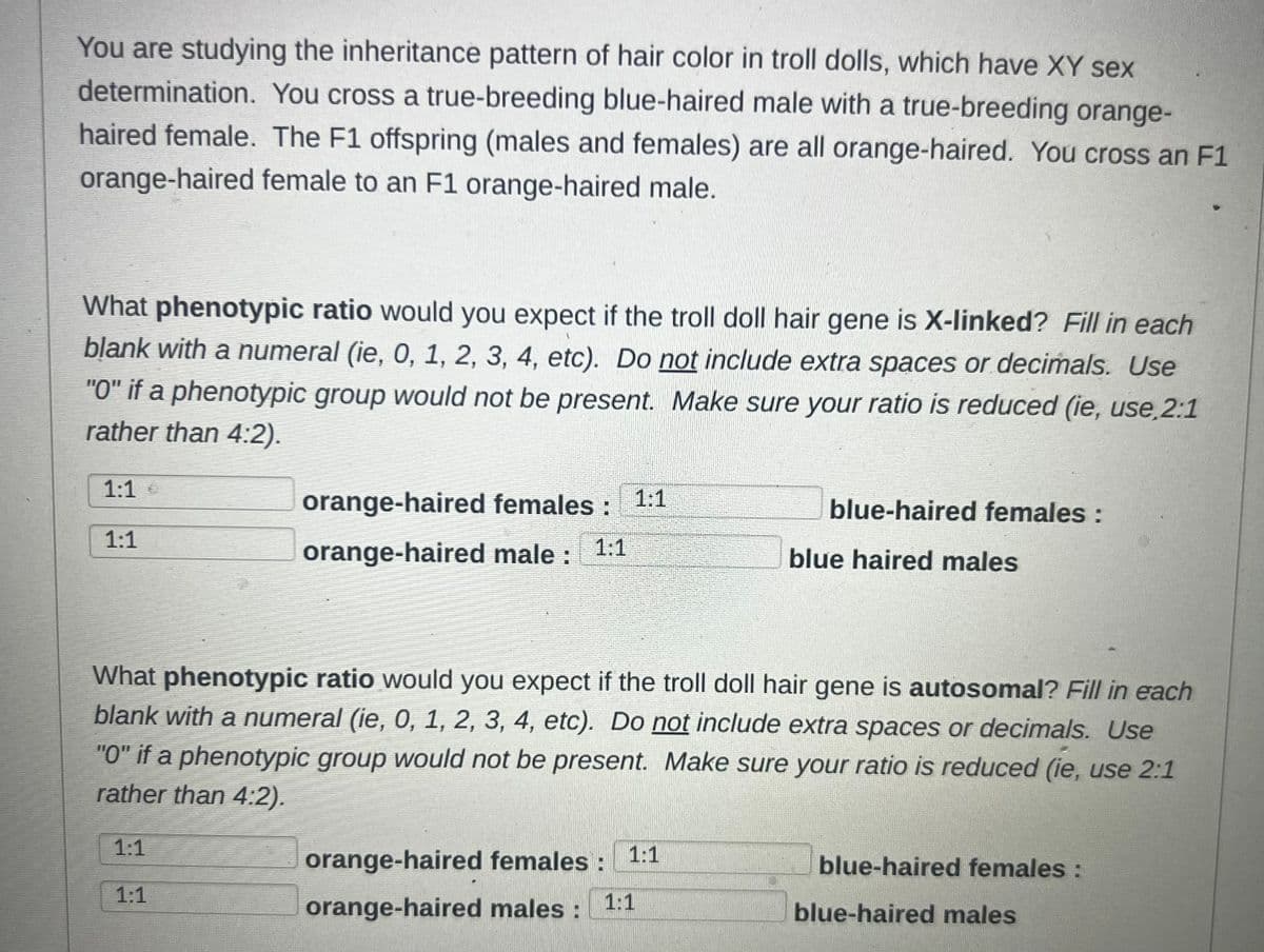 You are studying the inheritance pattern of hair color in troll dolls, which have XY sex
determination. You cross a true-breeding blue-haired male with a true-breeding orange-
haired female. The F1 offspring (males and females) are all orange-haired. You cross an F1
orange-haired female to an F1 orange-haired male.
What phenotypic ratio would you expect if the troll doll hair gene is X-linked? Fill in each
blank with a numeral (ie, 0, 1, 2, 3, 4, etc). Do not include extra spaces or decimals. Use
"0" if a phenotypic group would not be present. Make sure your ratio is reduced (ie, use,2:1
rather than 4:2).
1:1 €
1:1
1:1
orange-haired females : 1:1
orange-haired male :
What phenotypic ratio would you expect if the troll doll hair gene is autosomal? Fill in each
blank with a numeral (ie, 0, 1, 2, 3, 4, etc). Do not include extra spaces or decimals. Use
"0" if a phenotypic group would not be present. Make sure your ratio is reduced (ie, use 2:1
rather than 4:2).
1:1
blue-haired females :
blue haired males
orange-haired females : 1:1
orange-haired males :
1:1
blue-haired females :
blue-haired males