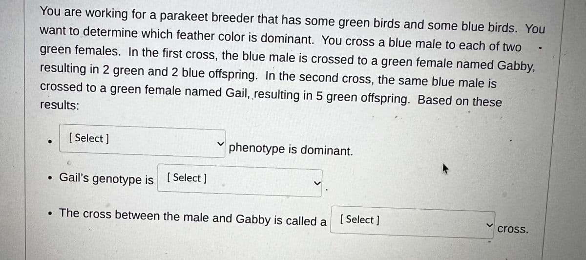 You are working for a parakeet breeder that has some green birds and some blue birds. You
want to determine which feather color is dominant. You cross a blue male to each of two
green females. In the first cross, the blue male is crossed to a green female named Gabby,
resulting in 2 green and 2 blue offspring. In the second cross, the same blue male is
crossed to a green female named Gail, resulting in 5 green offspring. Based on these
results:
●
[Select]
phenotype is dominant.
• Gail's genotype is [Select]
The cross between the male and Gabby is called a [ Select]
cross.