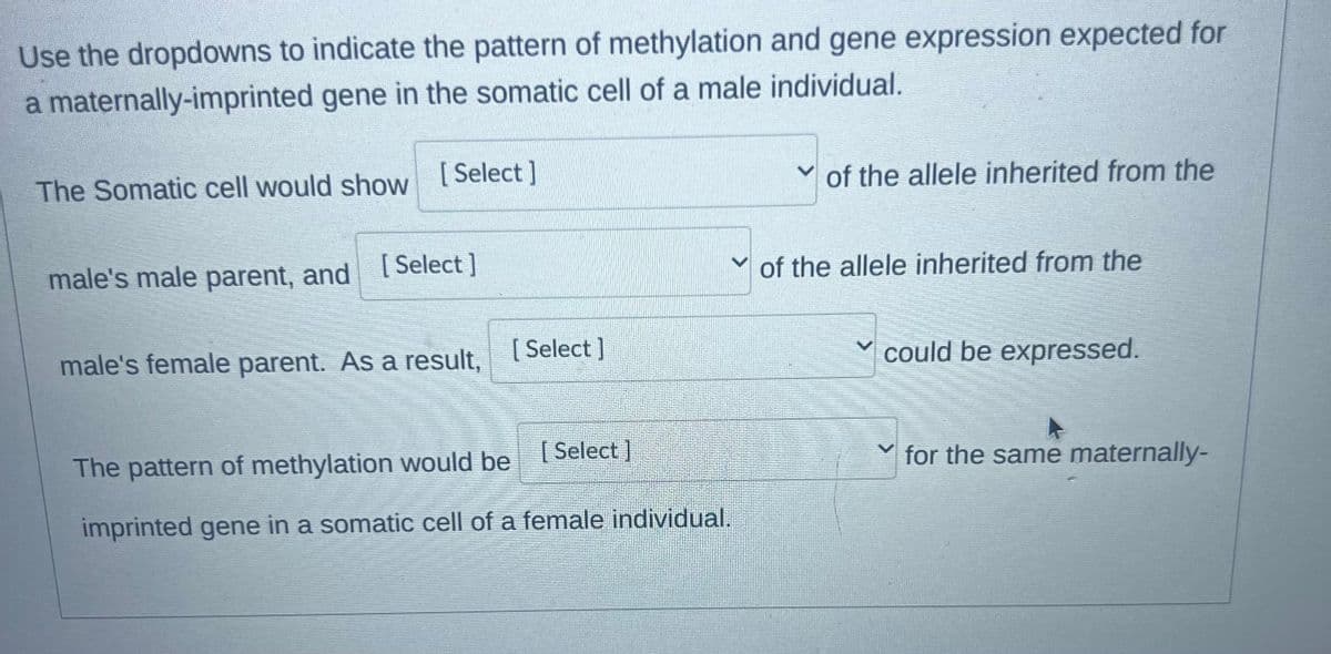Use the dropdowns to indicate the pattern of methylation and gene expression expected for
a maternally-imprinted gene in the somatic cell of a male individual.
The Somatic cell would show [Select]
male's male parent, and [Select]
male's female parent. As a result,
[Select]
of the allele inherited from the
of the allele inherited from the
could be expressed.
The pattern of methylation would be
[Select]
imprinted gene in a somatic cell of a female individual.
for the same maternally-