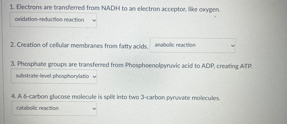 1. Electrons are transferred from NADH to an electron acceptor, like oxygen.
oxidation-reduction reaction
2. Creation of cellular membranes from fatty acids. anabolic reaction
3. Phosphate groups are transferred from Phosphoenolpyruvic acid to ADP, creating ATP.
substrate-level phosphorylatio ♥
4. A 6-carbon glucose molecule is split into two 3-carbon pyruvate molecules.
catabolic reaction