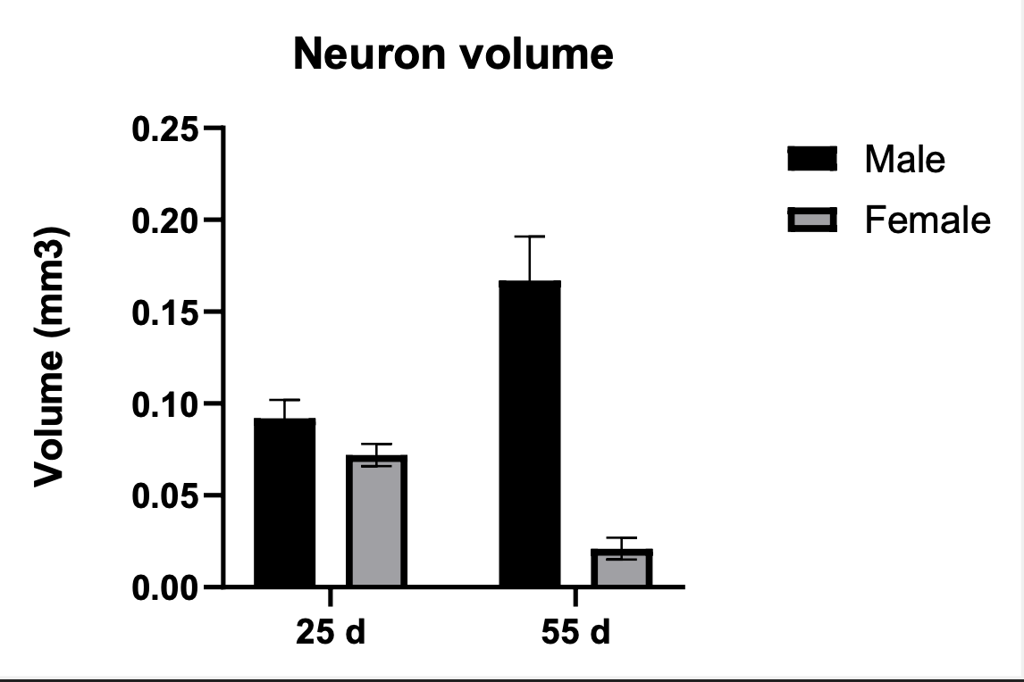 Volume (mm3)
0.25-
0.20-
0.15-
0.10
0.05-
0.00
Neuron volume
T
25 d
55 d
Male
Female