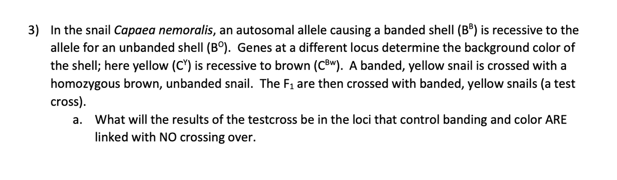 3) In the snail Capaea nemoralis, an autosomal allele causing a banded shell (B®) is recessive to the
allele for an unbanded shell (B°). Genes at a different locus determine the background color of
the shell; here yellow (C') is recessive to brown (CBw). A banded, yellow snail is crossed with a
homozygous brown, unbanded snail. The F1 are then crossed with banded, yellow snails (a test
cross).
a. What will the results of the testcross be in the loci that control banding and color ARE
linked with NO crossing over.
