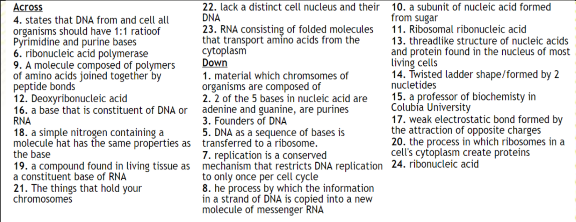 10. a subunit of nucleic acid formed
from sugar
11. Ribosomal ribonucleic acid
13. threadlike structure of nucleic acids
and protein found in the nucleus of most
living cells
14. Twisted ladder shape/formed by 2
nucletides
22. lack a distinct cell nucleus and their
DNA
Across
4. states that DNA from and cell all
organisms should have 1:1 ratioof
Pyrimidine and purine bases
6. ribonucleic acid polymerase
9. A molecule composed of polymers
of amino acids joined together by
peptide bonds
12. Deoxyribonucleic acid
16. a base that is constituent of DNA or
RNA
23. RNA consisting of folded molecules
that transport amino acids from the
cytoplasm
Down
1. material which chromsomes of
organisms are composed of
2. 2 of the 5 bases in nucleic acid are
adenine and guanine, are purines
3. Founders of DNA
15. a professor of biochemisty in
Colubia University
17. weak electrostatic bond formed by
the attraction of opposite charges
20. the process in which ribosomes in a
cell's cytoplasm create proteins
18. a simple nitrogen containing a
molecule 'hat has the same properties as transferred to a ribosome.
the base
5. DNA as a sequence of bases is
7. replication is a conserved
19. a compound found in living tissue as mechanism that restricts DNA replication 24. ribonucleic acid
a constituent base of RNA
21. The things that hold your
chromosomes
to only once per cell cycle
8. he process by which the information
in a strand of DNA is copied into a new
molecule of messenger RNA
