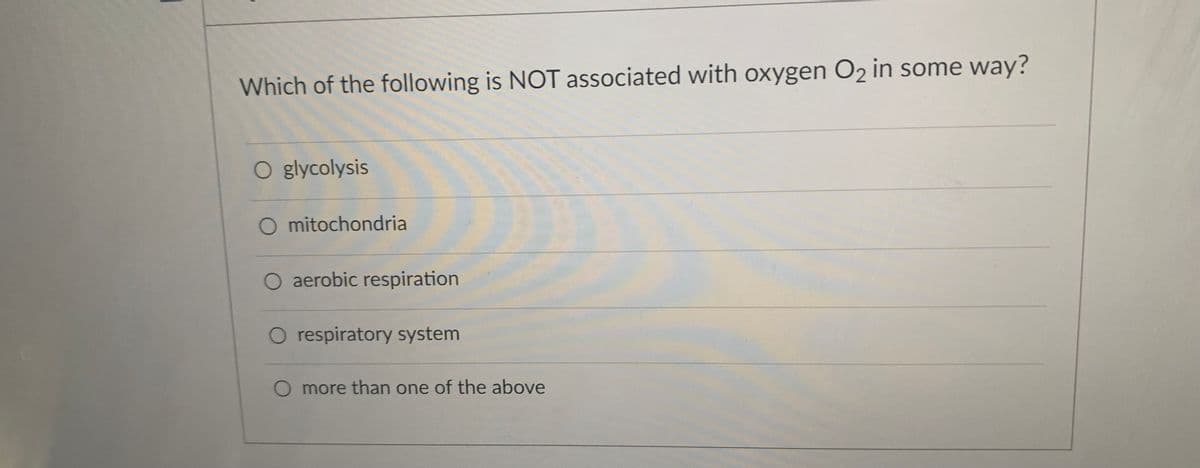 Which of the following is NOT associated with oxygen O2 in some way?
O glycolysis
O mitochondria
O aerobic respiration
O respiratory system
O more than one of the above
