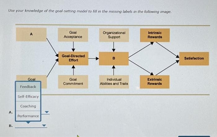 Use your knowledge of the goal-setting model to fill in the missing labels in the following image.
A.
B.
A
Goal
Feedback
Self-Efficacy
Coaching
Performance
Goal
Acceptance
Goal-Directed
Effort
Goal
Commitment
Organizational
Support
Individual
Abilities and Traits
Intrinsic
Rewards
Extrinsic
Rewards
Satisfaction