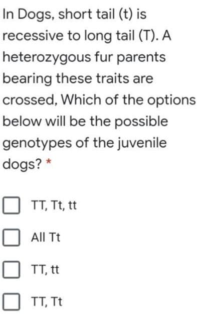 In Dogs, short tail (t) is
recessive to long tail (T). A
heterozygous fur parents
bearing these traits are
crossed, Which of the options
below will be the possible
genotypes of the juvenile
dogs? *
TT, Tt, tt
All Tt
TT, tt
TT, Tt
