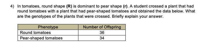 4) In tomatoes, round shape (R) is dominant to pear shape (r). A student crossed a plant that had
round tomatoes with a plant that had pear-shaped tomatoes and obtained the data below. What
are the genotypes of the plants that were crossed. Briefly explain your answer.
Phenotype
Number of Offspring
Round tomatoes
36
Pear-shaped tomatoes
34
