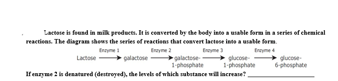 Lactose is found in milk products. It is converted by the body into a usable form in a series of chemical
reactions. The diagram shows the series of reactions that convert lactose into a usable form.
Enzyme 1
Enzyme 2
Enzyme 3
Enzyme 4
galactose-
1-phosphate
Lactose
galactose
glucose-
1-phosphate
glucose-
6-phosphate
If enzyme 2 is denatured (destroyed), the levels of which substance will increase?

