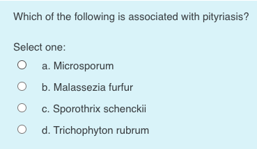 Which of the following is associated with pityriasis?
Select one:
O a. Microsporum
b. Malassezia furfur
c. Sporothrix schenckii
d. Trichophyton rubrum
