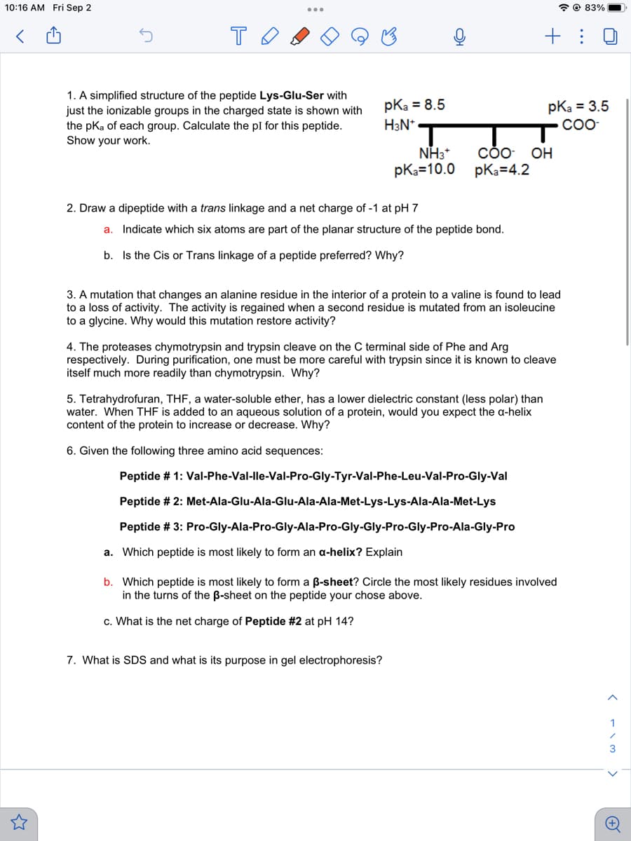 10:16 AM Fri Sep 2
<
то
1. A simplified structure of the peptide Lys-Glu-Ser with
just the ionizable groups in the charged state is shown with
the pKa of each group. Calculate the pl for this peptide.
Show your work.
pka = 8.5
H3N+
NH3*
pKa 10.0
2. Draw a dipeptide with a trans linkage and a net charge of -1 at pH 7
a. Indicate which six atoms are part of the planar structure of the peptide bond.
b. Is the Cis or Trans linkage of a peptide preferred? Why?
COO- OH
pka=4.2
3. A mutation that changes an alanine residue in the interior of a protein to a valine is found to lead
to a loss of activity. The activity is regained when a second residue is mutated from an isoleucine
to a glycine. Why would this mutation restore activity?
5. Tetrahydrofuran, THF, a water-soluble ether, has a lower dielectric constant (less polar) than
water. When THF is added to an aqueous solution of a protein, would you expect the a-helix
content of the protein to increase or decrease. Why?
6. Given the following three amino acid sequences:
7. What is SDS and what is its purpose in gel electrophoresis?
+:
4. The proteases chymotrypsin and trypsin cleave on the C terminal side of Phe and Arg
respectively. During purification, one must be more careful with trypsin since it is known to cleave
itself much more readily than chymotrypsin. Why?
Peptide # 1: Val-Phe-Val-lle-Val-Pro-Gly-Tyr-Val-Phe-Leu-Val-Pro-Gly-Val
Peptide # 2: Met-Ala-Glu-Ala-Glu-Ala-Ala-Met-Lys-Lys-Ala-Ala-Met-Lys
Peptide # 3: Pro-Gly-Ala-Pro-Gly-Ala-Pro-Gly-Gly-Pro-Gly-Pro-Ala-Gly-Pro
a. Which peptide is most likely to form an a-helix? Explain
pka = 3.5
COO-
@83%
b. Which peptide is most likely to form a ß-sheet? Circle the most likely residues involved
in the turns of the ß-sheet on the peptide your chose above.
c. What is the net charge of Peptide #2 at pH 14?
(113
+