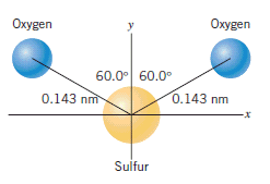Oxygen
y
Охудen
60.0이 60.0°
0.143 nm
0.143 nm
Sulfur
