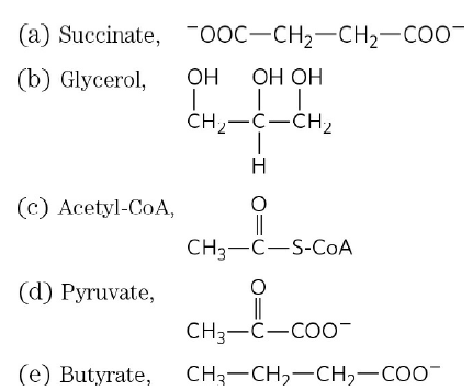 (а) Succinate, "0ОC-CH2—CH2—соо-
(b) Glycerol,
он ОН ОН
CH,-C-CH,
(с) Аcetyl-CoA,
||
CH3-C-S-CoA
(d) Рyruvate,
||
CH3-C-CO0-
(е) Butyrate,
CH3-CH,-CH,-CO"
-CHH O=
