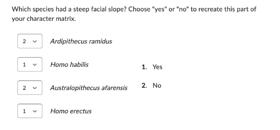 Which species had a steep facial slope? Choose "yes" or "no" to recreate this part of
your character matrix.
2 ✓ Ardipithecus ramidus
1
2
1
Homo habilis
Australopithecus afarensis
Homo erectus
1. Yes
2. No