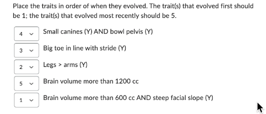 Place the traits in order of when they evolved. The trait(s) that evolved first should
be 1; the trait(s) that evolved most recently should be 5.
Small canines (Y) AND bowl pelvis (Y)
Big toe in line with stride (Y)
Legs > arms (Y)
Brain volume more than 1200 cc
Brain volume more than 600 cc AND steep facial slope (Y)
4
3
2
5
1