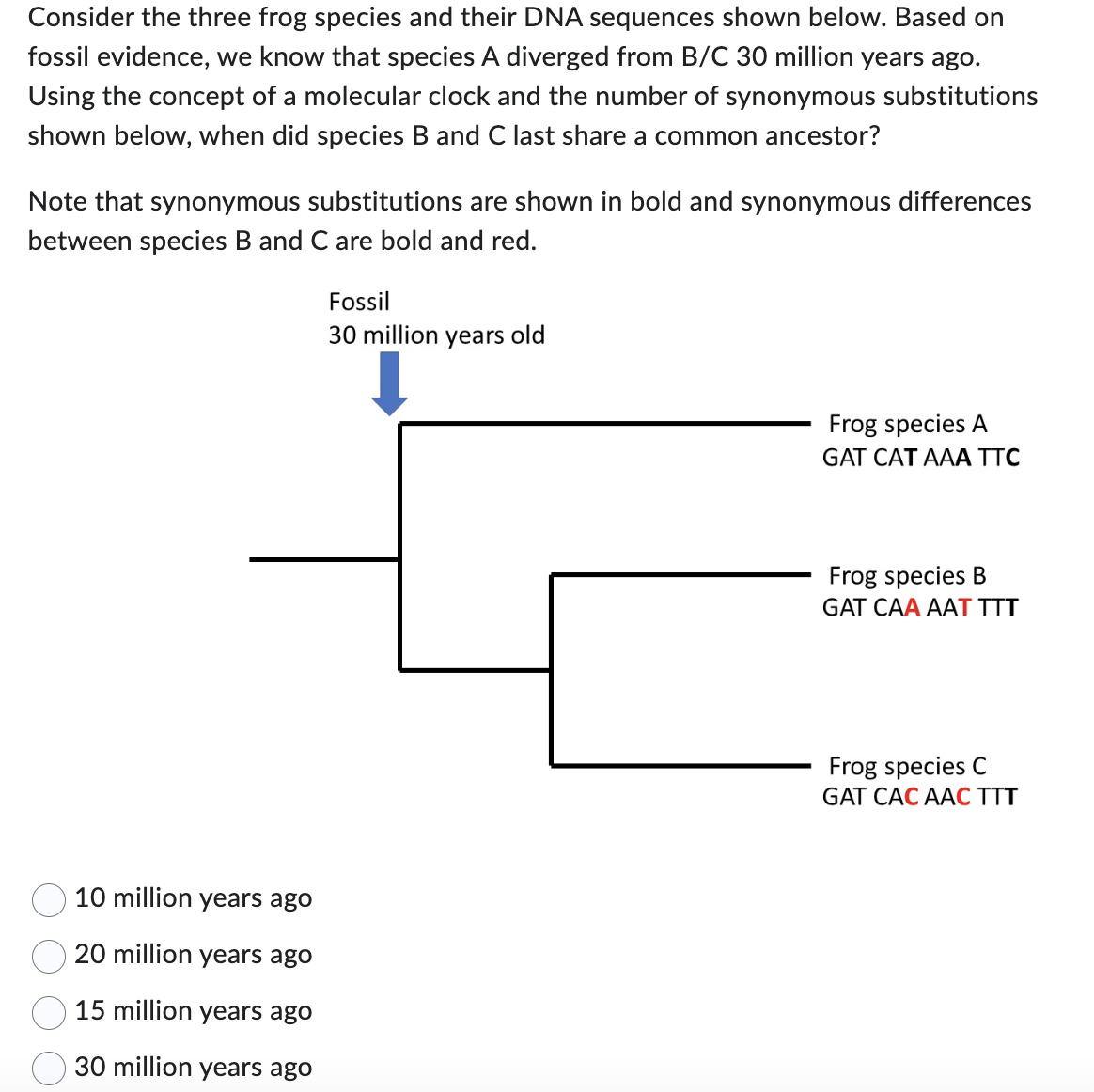 Consider the three frog species and their DNA sequences shown below. Based on
fossil evidence, we know that species A diverged from B/C 30 million years ago.
Using the concept of a molecular clock and the number of synonymous substitutions
shown below, when did species B and C last share a common ancestor?
Note that synonymous substitutions are shown in bold and synonymous differences
between species B and C are bold and red.
10 million years ago
20 million years ago
15 million years ago
30 million years ago
Fossil
30 million years old
Frog species A
GAT CAT AAA TTC
Frog species B
GAT CAA AAT TTT
Frog species C
GAT CAC AAC TTT