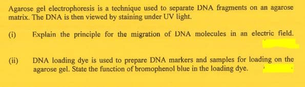 Agarose gel electrophoresis is a technique used to separate DNA fragments on an agarose
matrix. The DNA is then viewed by staining under UV light.
(i)
Explain the principle for the migration of DNA molecules in an electric field.
DNA loading dye is used to prepare DNA markers and samples for loading on the
agarose gel. State the function of bromophenol blue in the loading dye.
(ii)
