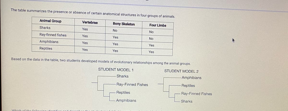 The table summarizes the presence or absence of certain anatomical structures in four groups of animals.
Animal Group
Vertebrae
Bony Skeleton
Four Limbs
Sharks
Yes
No
No
Ray-finned fishes
Yes
Yes
No
Amphibians
Yes
Yes
Yes
Reptiles
Yes
Yes
Yes
Based on the data in the table, two students developed models of evolutionary relationships among the animal groups.
STUDENT MODEL 1
STUDENT MODEL 2
Sharks
-Amphibians
Ray-Finned Fishes
Reptiles
Reptiles
Ray-Finned Fishes
Amphibians
Sharks
Which
