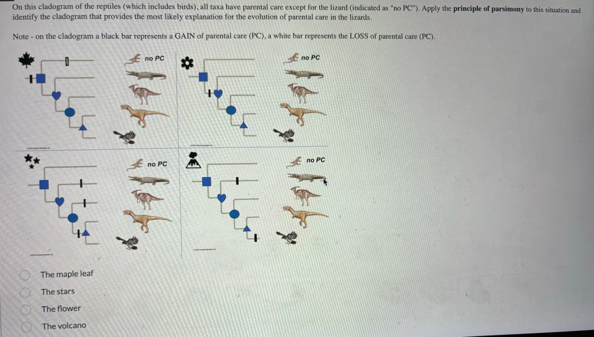 On this cladogram of the reptiles (which includes birds), all taxa have parental care except for the lizard (indicated as "no PC"). Apply the principle of parsimony to this situation and
identify the cladogram that provides the most likely explanation for the evolution of parental care in the lizards.
Note on the cladogram a black bar represents a GAIN of parental care (PC), a white bar represents the LOSS of parental care (PC).
0
The maple leaf
The stars
The flower
The volcano
no PC
no PC
no PC
no PC