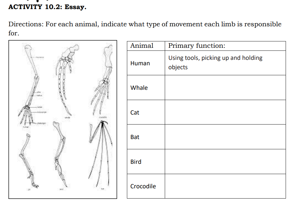 АСTIVITY 10.2: Essay.
Directions: For each animal, indicate what type of movement each limb is responsible
for.
Animal
Primary function:
Using tools, picking up and holding
Human
objects
Whale
Cat
Bat
Bird
Crocodile
