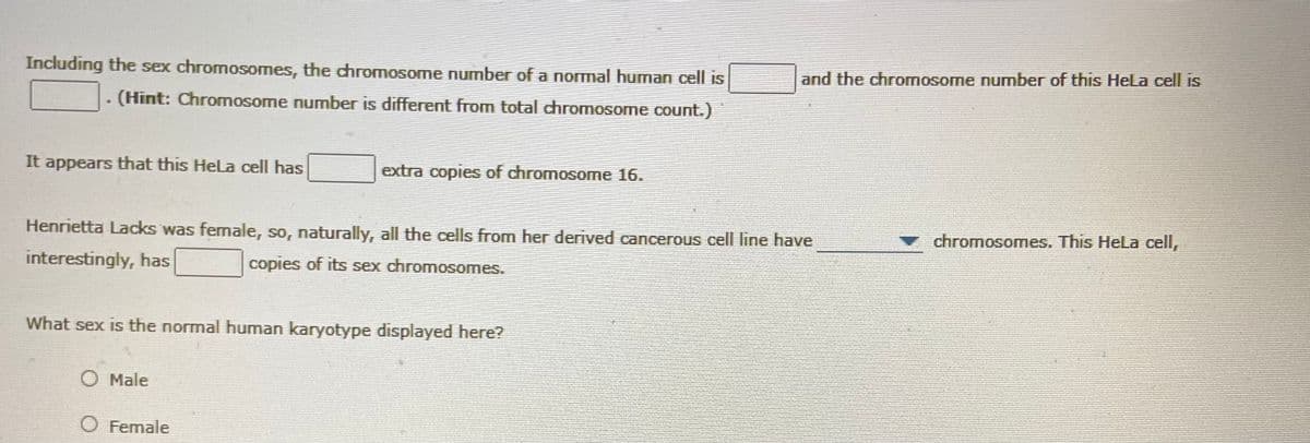 Including the sex chromosomes, the chromosome number of a normal human cell is
and the chromosome number of this Hela cell is
- (Hint: Chromosome number is different from total chromosome count.)
It appears that this Hela cell has
extra copies of chromosome 16.
Henrietta Lacks was female, so, naturally, all the cells from her derived cancerous cell line have
chromosomes. This HeLa cell,
interestingly, has
copies of its sex chromosomes.
What sex is the normal human karyotype displayed here?
O Male
O Female
