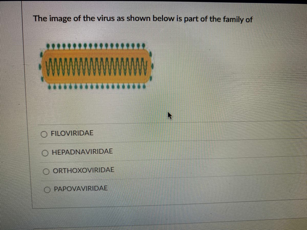 The image of the virus as shown below is part of the family of
O FILOVIRIDAE
O HEPADNAVIRIDAE
ORTHOXOVIRIDAE
O PAPOVAVIRIDAE
