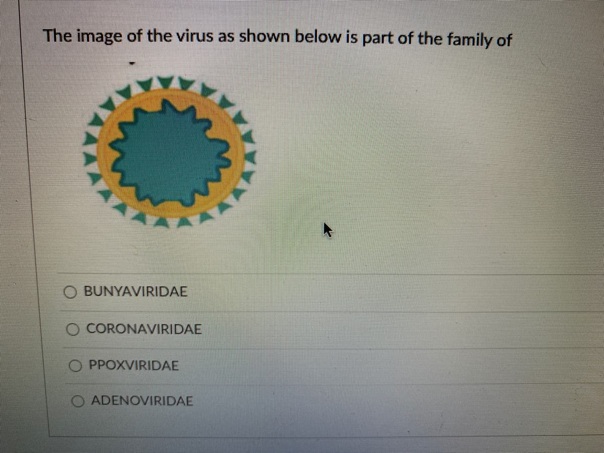 The image of the virus as shown below is part of the family of
O BUNYAVIRIDAE
CORONAVIRIDAE
O PPOXVIRIDAE
ADENOVIRIDAE
