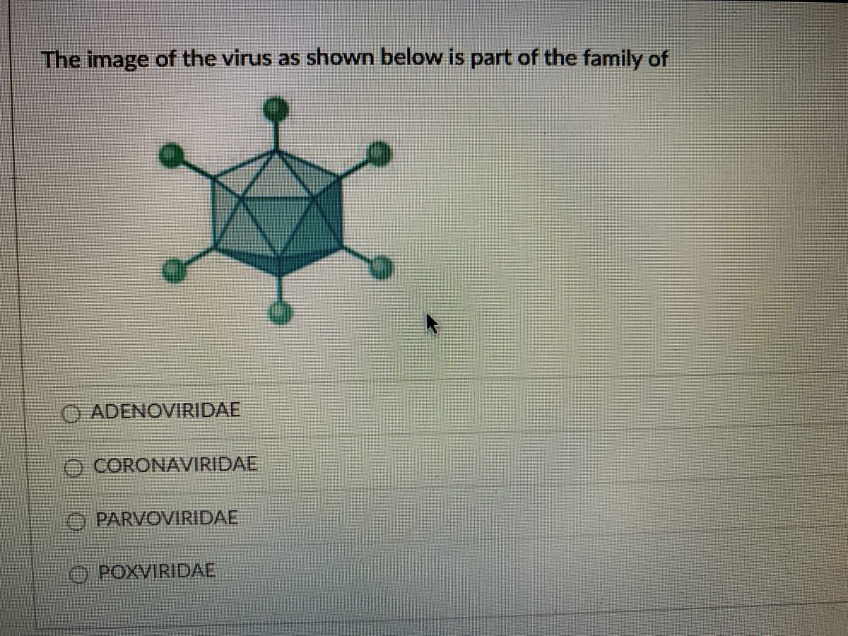 The image of the virus as shown below is part of the family of
O ADENOVIRIDAE
O CORONAVIRIDAE
O PARVOVIRIDAE
O POXVIRIDAE
