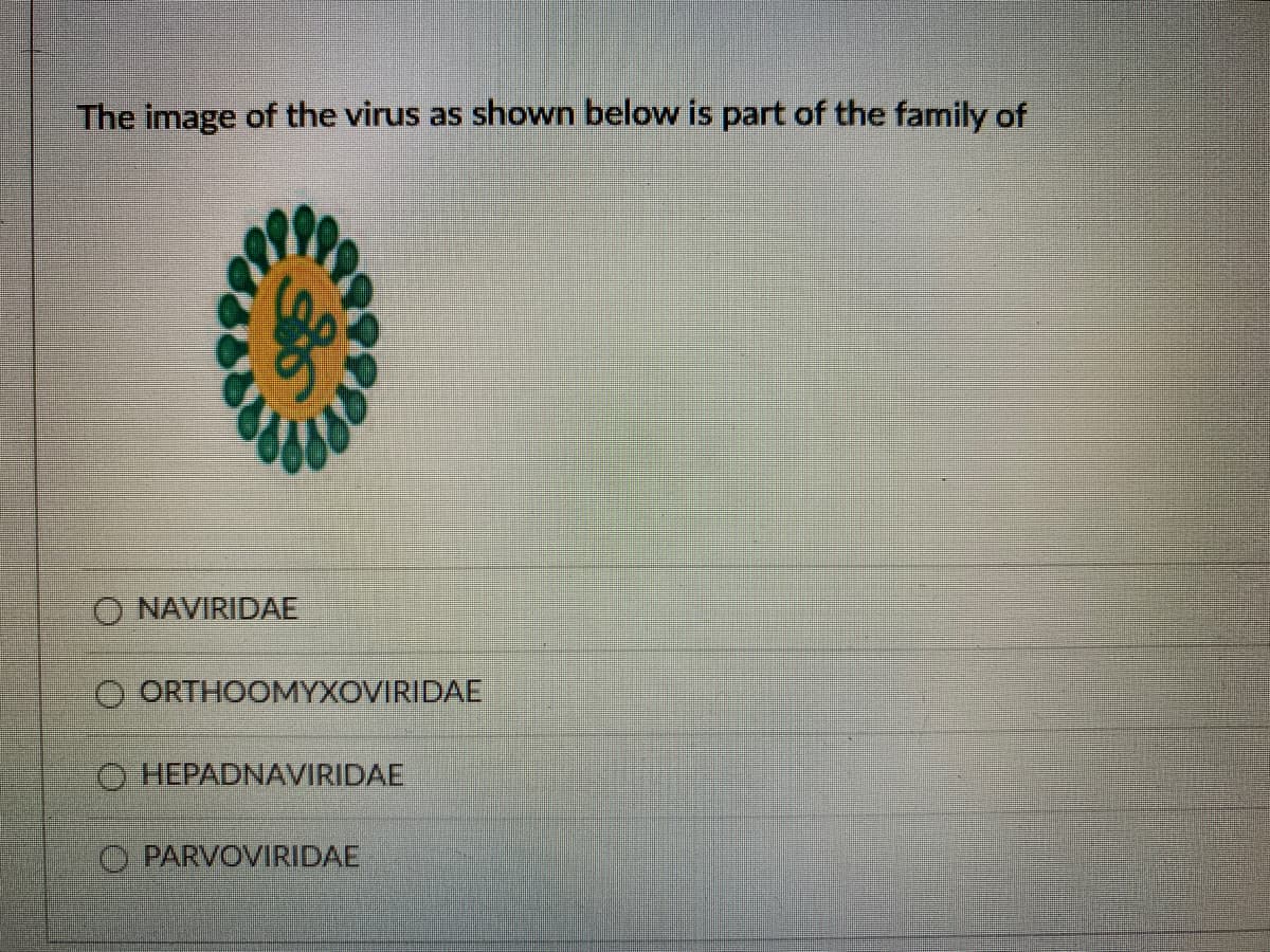 The image of the virus as shown below is part of the family of
O NAVIRIDAE
O ORTHOOMYXOVIRIDAE
O HEPADNAVIRIDAE
O PARVOVIRIDAE
