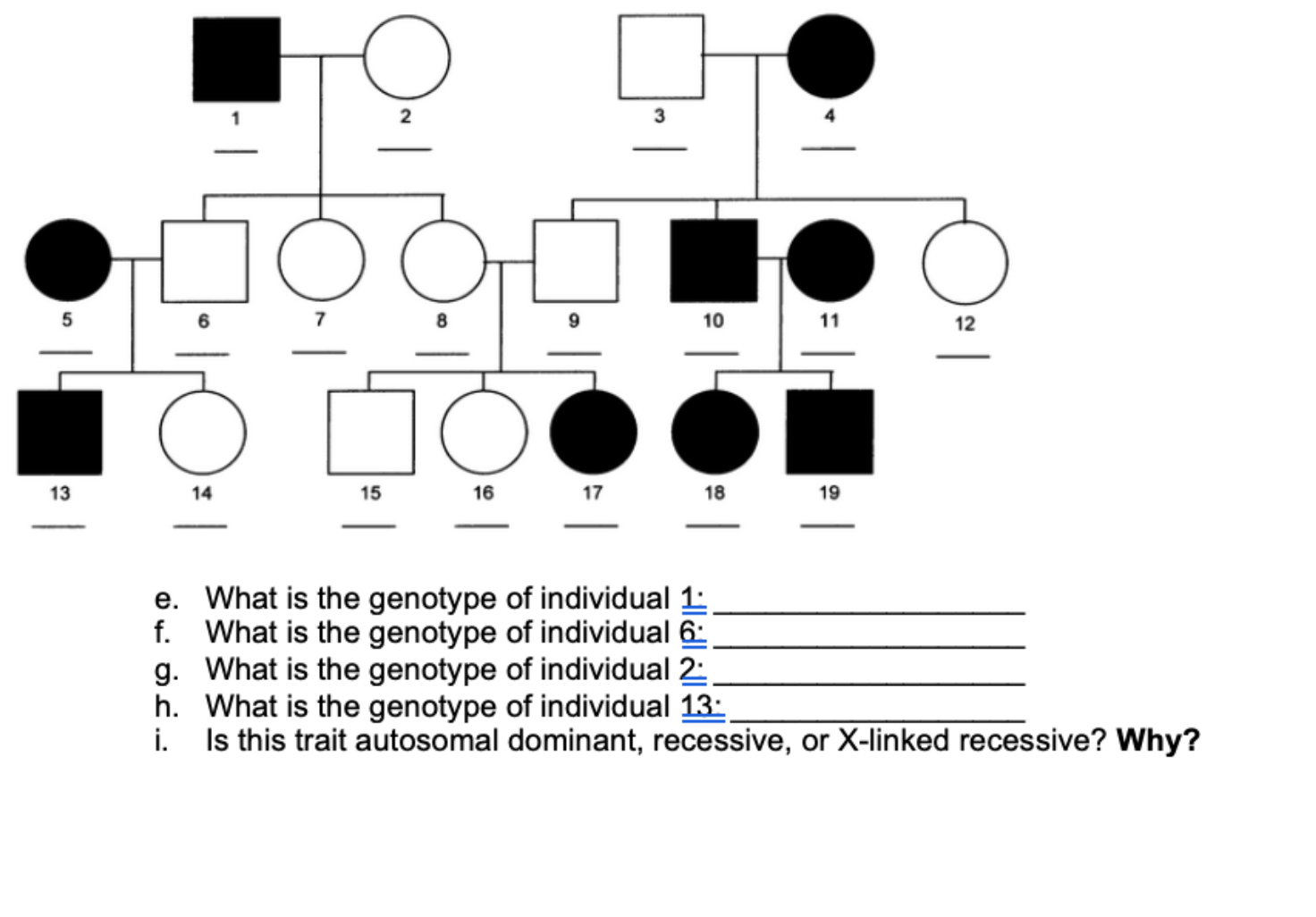 e. What is the genotype of individual 1:
g. What is the genotype of individual 2:
h. What is the genotype of individual 13:
Is this trait autosomal dominant, recessive, or X-linked recessive? Why?

