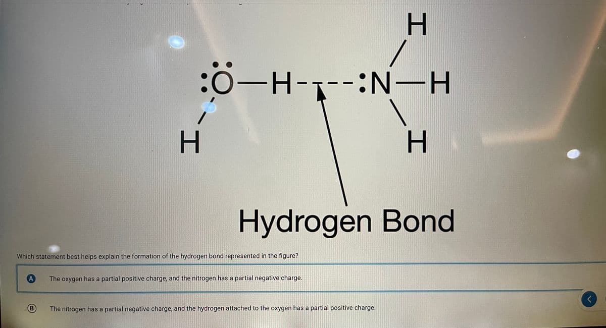 :0-H-1--:N-H
Hydrogen Bond
Which statement best helps explain the formation of the hydrogen bond represented in the figure?
A
The oxygen has a partial positive charge, and the nitrogen has a partial negative charge.
(B)
The nitrogen has a partial negative charge, and the hydrogen attached to the oxygen has a partial positive charge.
