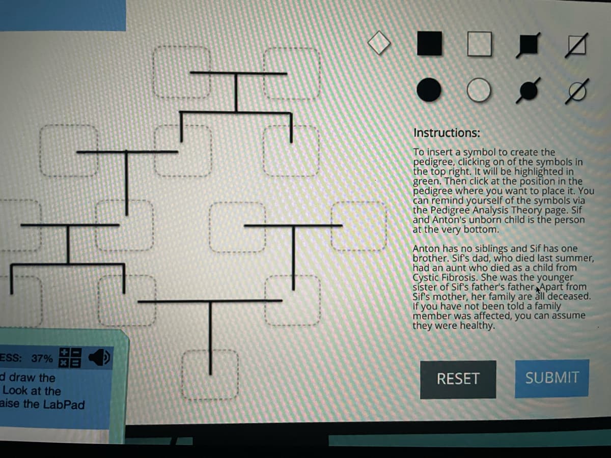 Instructions:
To insert a symbol to create the
pedigree, clicking on of the symbols in
the top right. It will be highlighted in
green. Then click at the position in the
pedigree where you want to place it. You
can remind yourself of the symbols via
the Pedigree Analysis Theory page. Sif
and Anton's unborn child is the person
at the very bottom.
Anton has no siblings and Sif has one
brother. Sif's dad, who died last summer,
had an aunt who died as a child from
Cystic Fibrosis. She was the younger
síster of Sif's father's father Apart from
Sif's mother, her family are all 'deceased.
If you have not been told a family
member was affected, you can assume
they were healthy.
ESS: 37% E
d draw the
Look at the
aise the LabPad
RESET
SUBMIT
