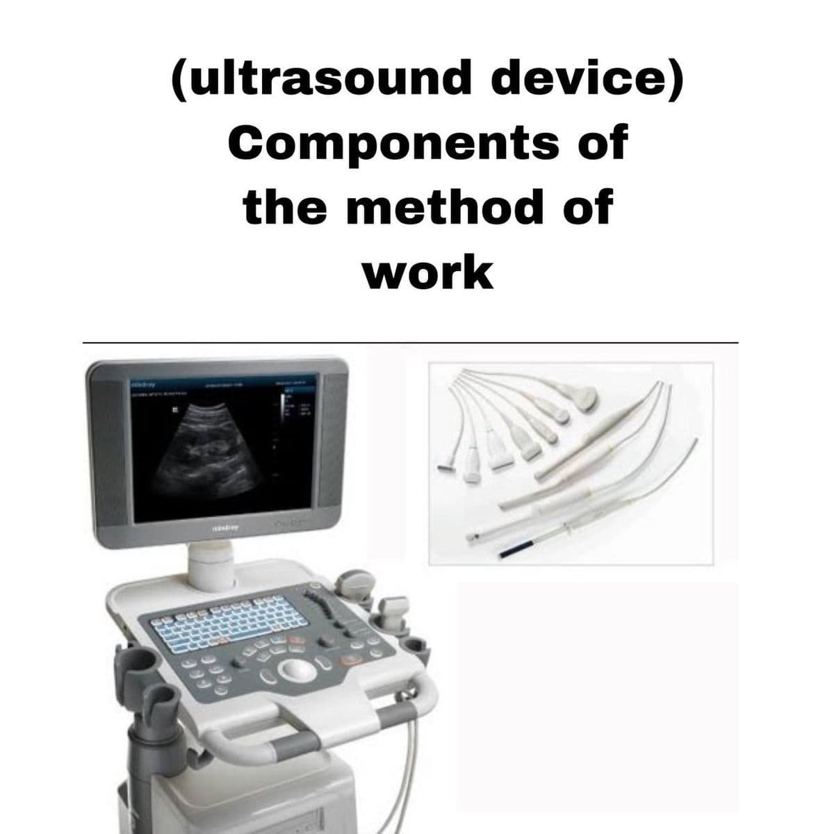 (ultrasound device)
Components of
the method of
work
Hill ****
000